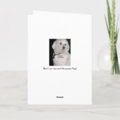 ハバニーズハッピーバースデー カード (裏面)