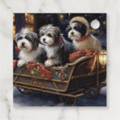 ハバニーズフェスティバルシーズン フェイバータグ (裏面)