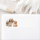 ハバニーズ差出人住所ラベル ラベル (インサイチュ)