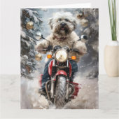 ハバニーズ犬がオートバイクリスマスに乗る カード (正面)