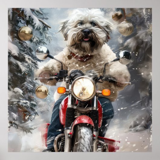 ハバニーズ犬がオートバイクリスマスに乗る ポスター (正面)