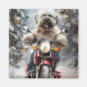 ハバニーズ犬がオートバイクリスマスに乗る マグネット (正面)