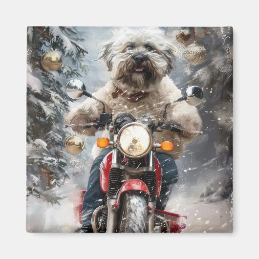 ハバニーズ犬がオートバイクリスマスに乗る マグネット (正面)