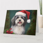 ハバニーズ犬と雪のクリスマス カード (正面)