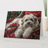 ハバニーズ犬のクリスマスフェスティバル カード (正面)