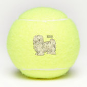 ハバニーズ犬の漫画イラストレーション テニスボール (正面)