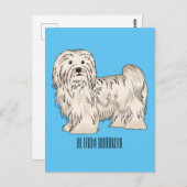 ハバニーズ犬の漫画イラストレーション ポストカード (正面/裏面)