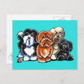 ハバニーズ4 ポストカード (正面/裏面)