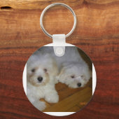 ハバニーズ キーホルダー (正面)