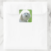 ハバニーズ スクエアシール (バッグ)