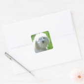 ハバニーズ スクエアシール (封筒)