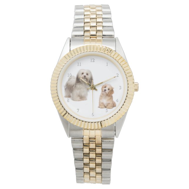 ハバニーズ・ドッグ・アンド・アップ・ウォッチ 腕時計 (正面)