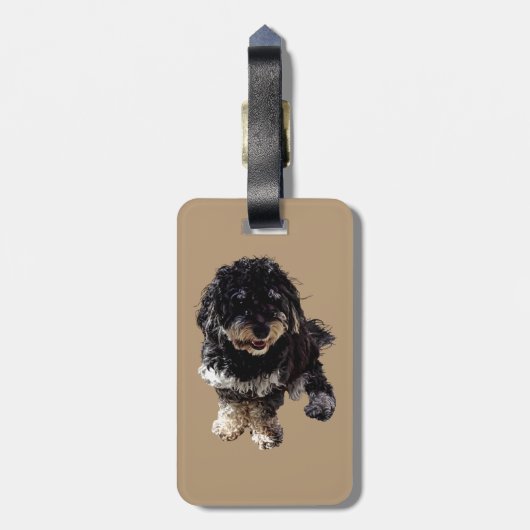 ハバニーズ ラゲッジタグ (裏面縦)