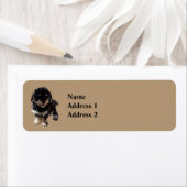 ハバニーズ ラベル (インサイチュ)