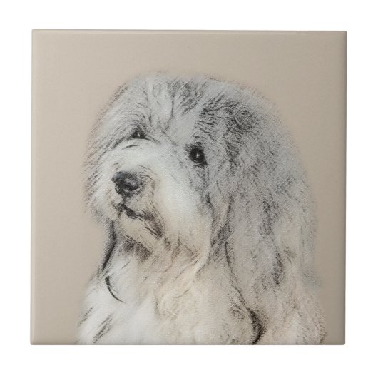 ハバニーズ(金ゴールドセー絵画ル)のオリジナル- Dog Art タイル (正面)