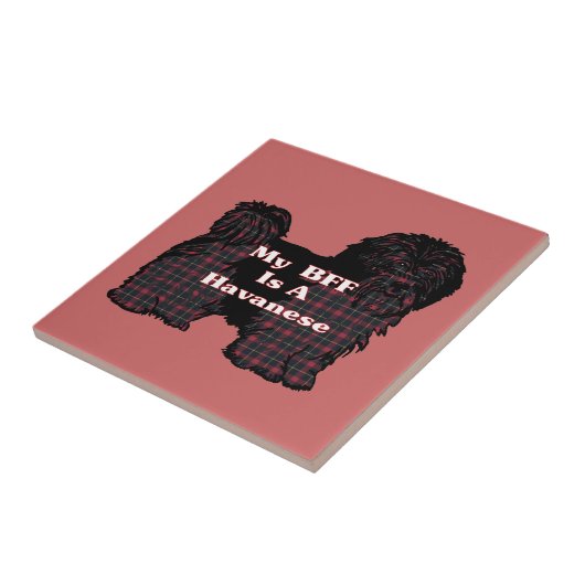 ハバニーズBFF タイル (側面)