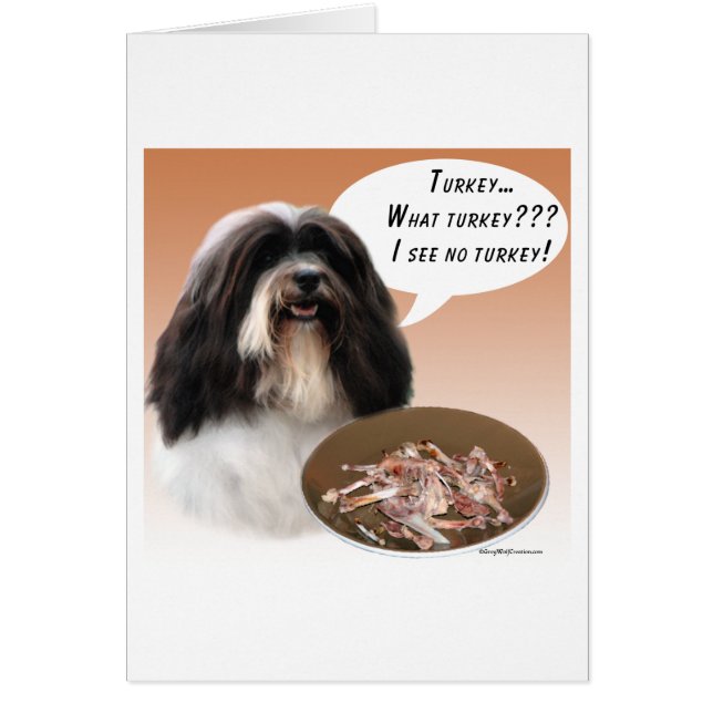 ハバネトルコ (正面)