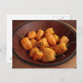 ハバネロのピーマン、食べ伝統的物のボウル ポストカード (正面/裏面)