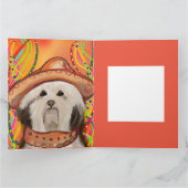 ハバネーズ カード (内部)