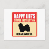 ハバネーズ ポストカード (正面)