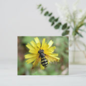 ハバフライはがき – クリソトキサム祭り ポストカード (スタンド正面)