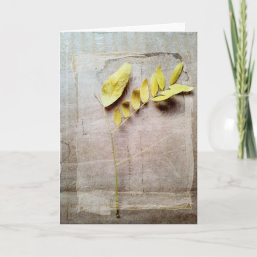 ハバリウムV カード (正面)