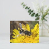 ハバーフライはがき ポストカード (スタンド正面)