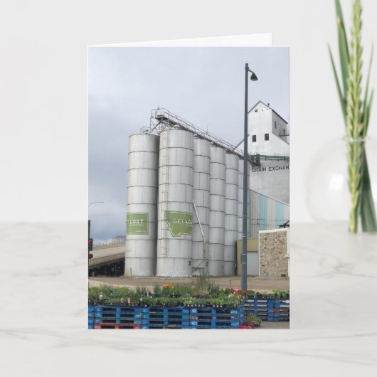 ハバー、MT カード (正面)