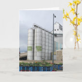 ハバー、MT カード (黄色い花)