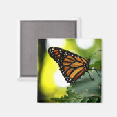 ハパインズは蝶 マグネット (正面/裏面)