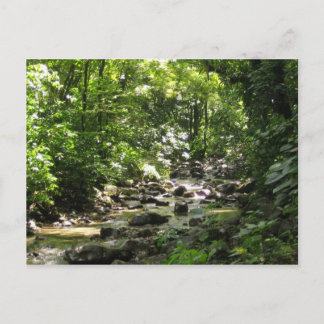 ハビテーションセロン1 - Martinique, F.W.I. ポストカード