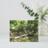 ハビテーションセロン2 – マルティニーク, F.W.I. ポストカード (スタンド正面)