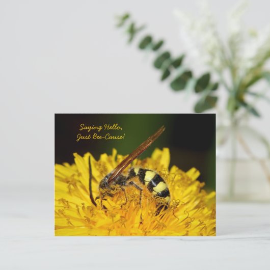 ハビーのご挨拶 ポストカード (スタンド正面)