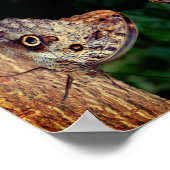 ハピネスブラウンバタフライ感動的抽象芸術 ポスター (角)