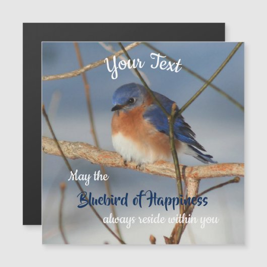 ハピネス磁石のブルーバ感動的ード (正面/裏面)