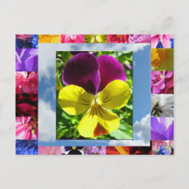 ハピネス花はがき ポストカード