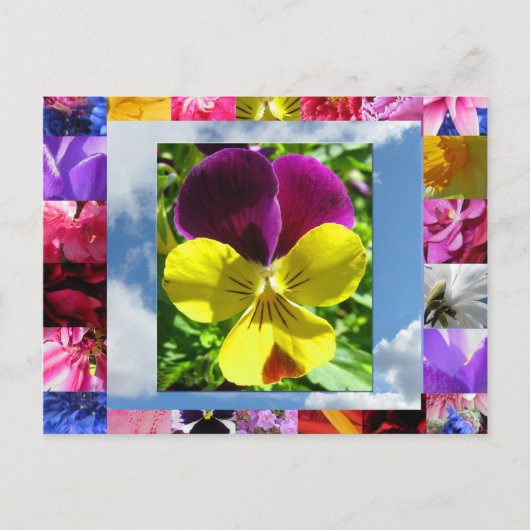 ハピネス花はがき ポストカード (正面)