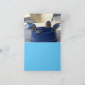 ハピネス・カードのブルーバード カード (内部)