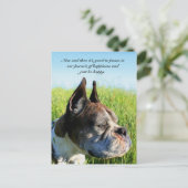 ハピネス・ボクサー葉書 ポストカード (スタンド正面)