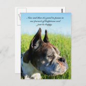 ハピネス・ボクサー葉書 ポストカード (正面/裏面)
