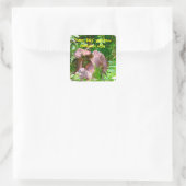 ハピーベビーレインフォレストヨガ スクエアシール (バッグ)