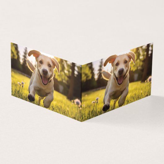 ハピーラブラドールパピ走ー (外部)