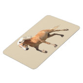 ハフィンガー馬の磁石。 マグネット (左側)