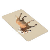 ハフィンガー馬の磁石。 マグネット (右側)