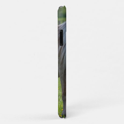 ハフリンガーの馬かわいいベビーの子馬とムーム写真- Case-Mate iPhoneケース (裏面/右)