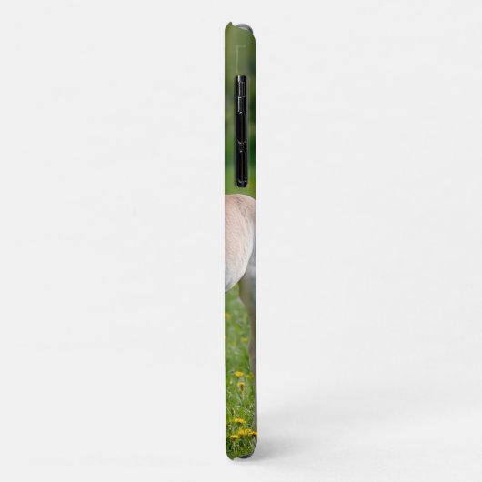 ハフリンガーの馬かわいいベビーの子馬とムーム写真- Case-Mate iPhoneケース (裏面/左)