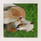 ハフリンガーウマかわいいフォールキスムーム写真 – ゲーム ジグソーパズル (横)