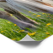 ハフリンガーウマかわいいベビーフォールとムーム写真オン ポスター (角)