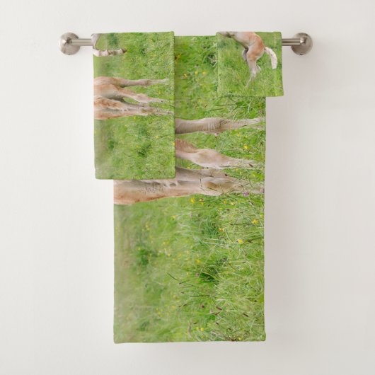 ハフリンガーウマかわいい仲間の育成写真 バスタオルセット (インサイチュ)