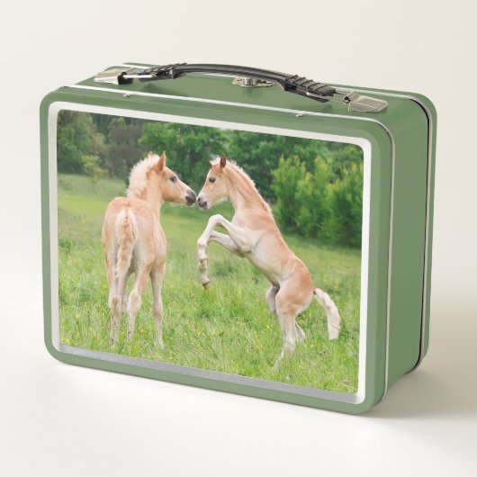 ハフリンガーウマかわいい仲間の育成写真 メタルランチボックス (裏面)